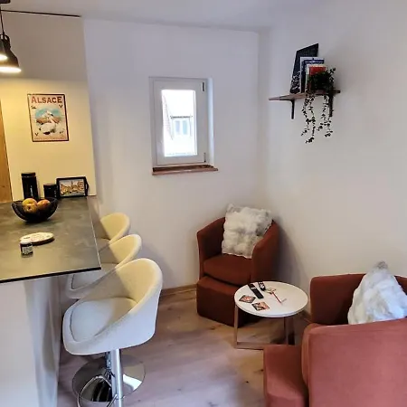 Cocon De Charme Au Pied De La Cathedrale De Apartamento Estrasburgo