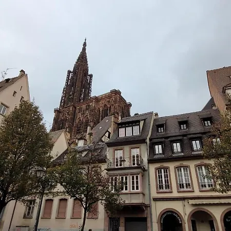 Cocon De Charme Au Pied De La Cathedrale De Apartamento Estrasburgo