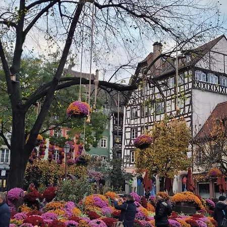 Apartamento Cocon De Charme Au Pied De La Cathedrale De Estrasburgo