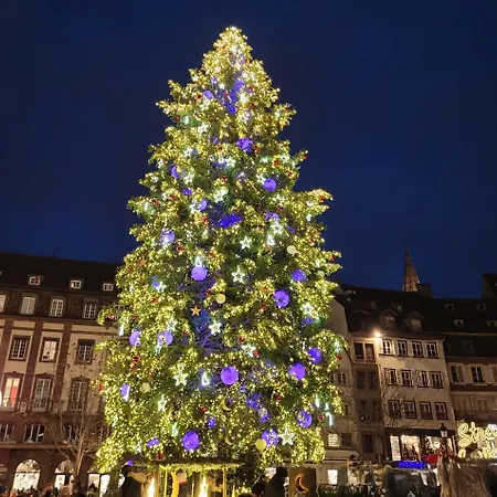 Apartamento Cocon De Charme Au Pied De La Cathedrale De *