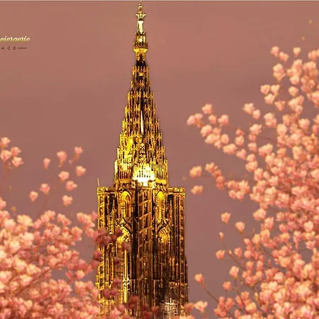 Cocon De Charme Au Pied De La Cathedrale De Apartman Strasbourg