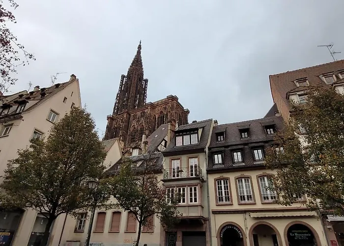 Cocon De Charme Au Pied De La Cathedrale De شقة ستراسبورغ